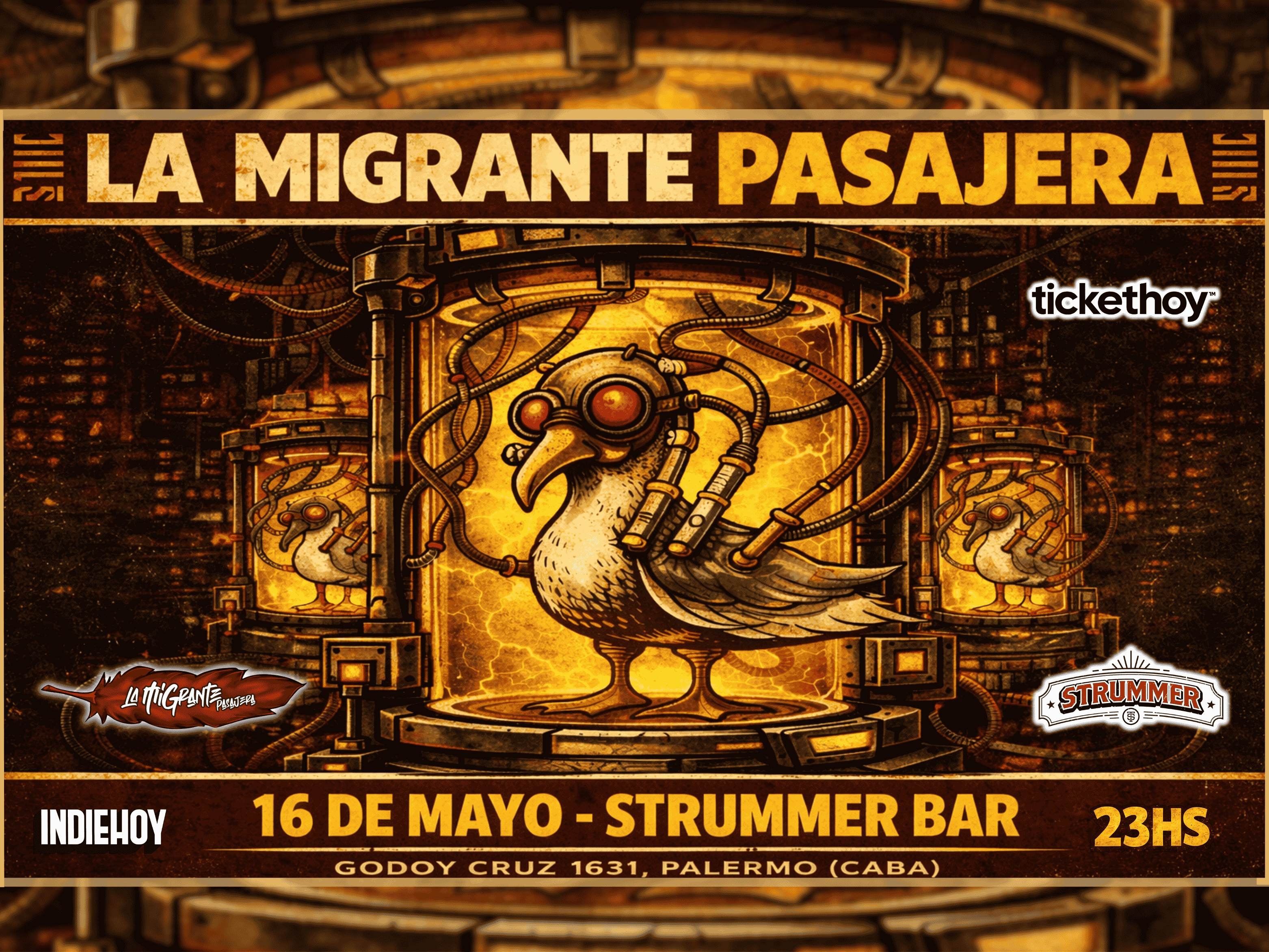 La Migrante en Strummer